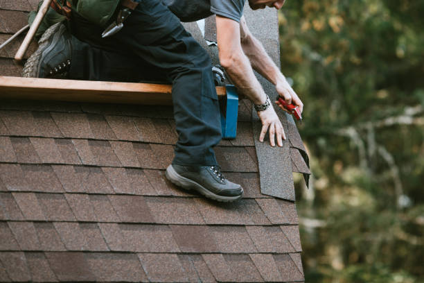 Best Roofing Contractor Near Me  in Noel, MO